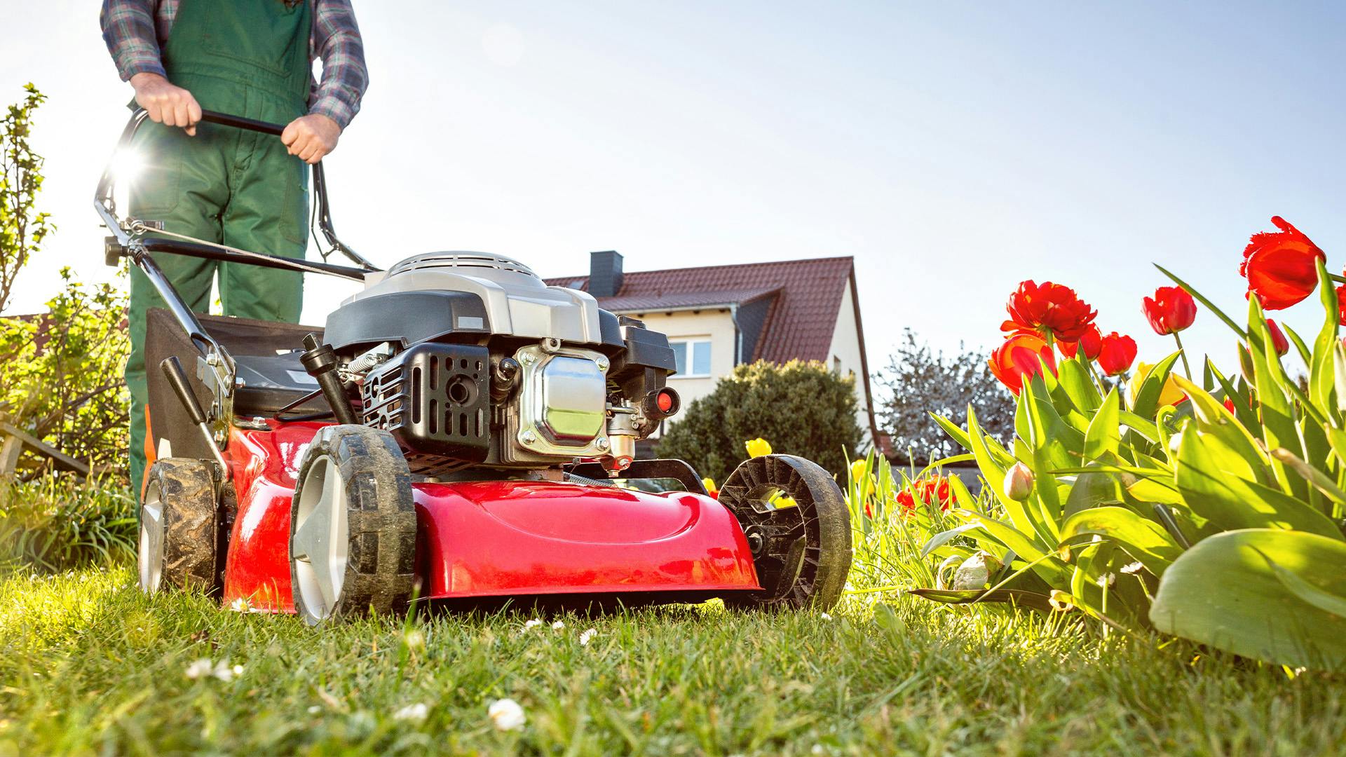 Mcgregor 32cm corded online rotary lawnmower