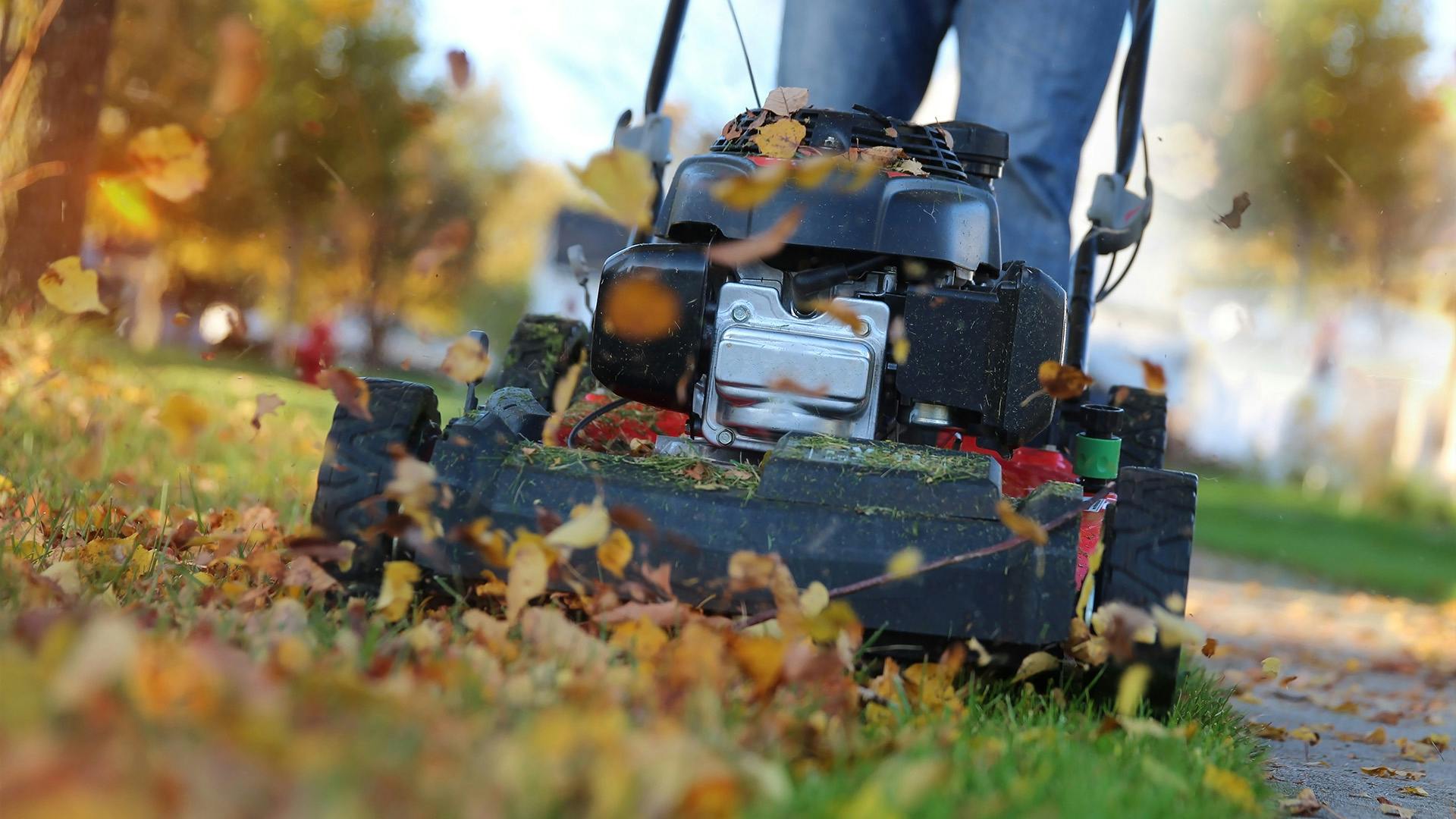 Best petrol mower for large outlet garden