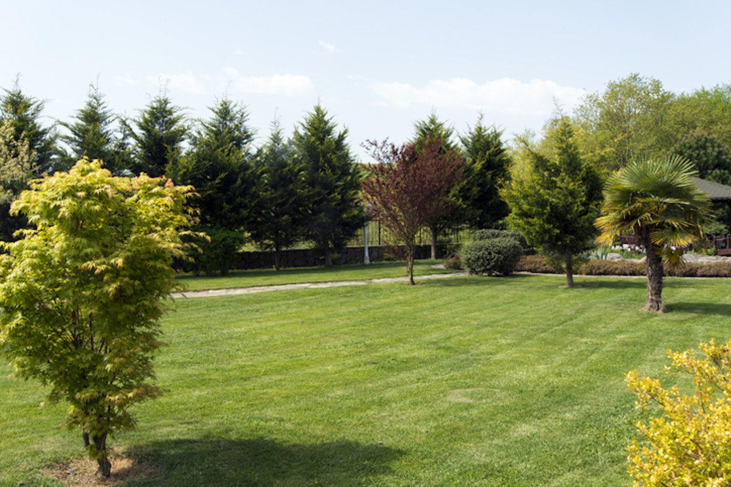 A picture of a beautiful green lawn with trees surrounding