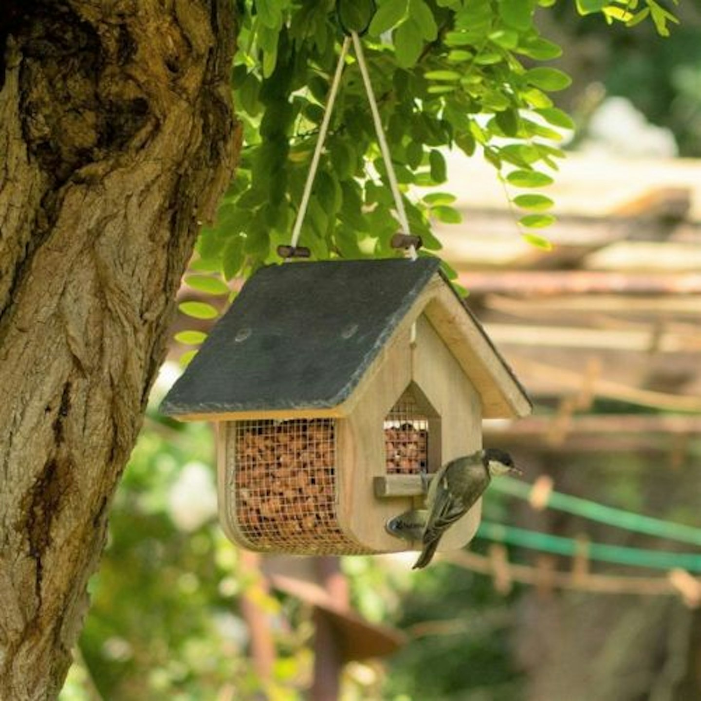 National Trust Jupiter Slate Peanut Feeder