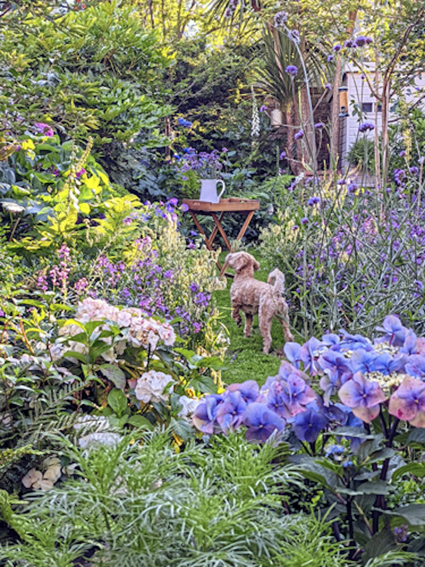 A colourful garden with lots of purple flowers and a dog