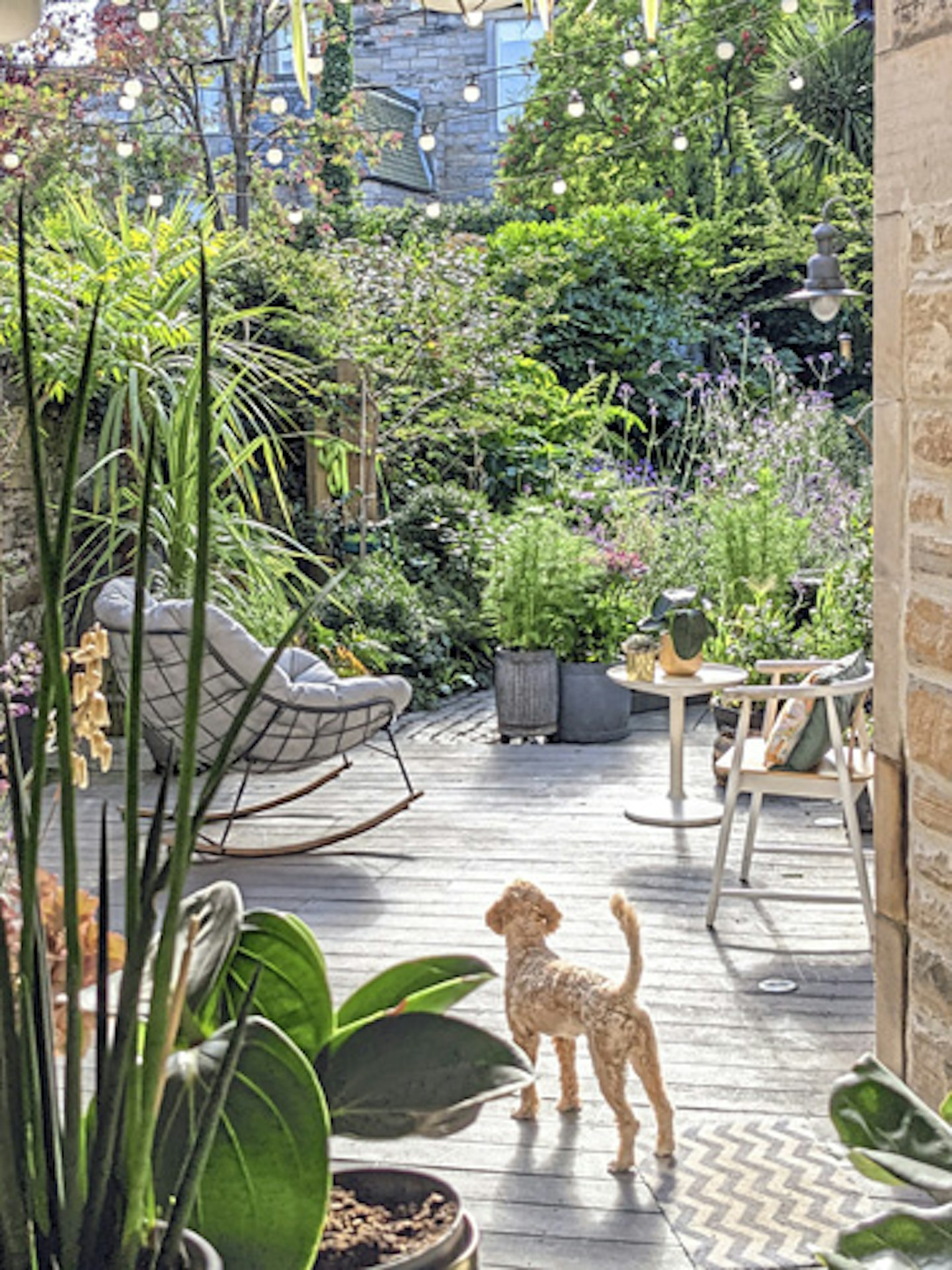 Decked sunny patio with dog