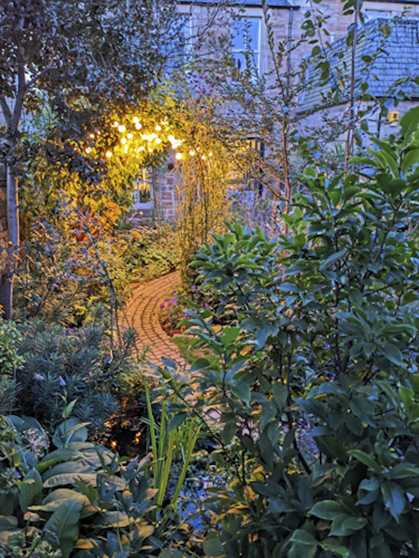 An aromatic arch of Solanum crispum and jasmine lit up at night