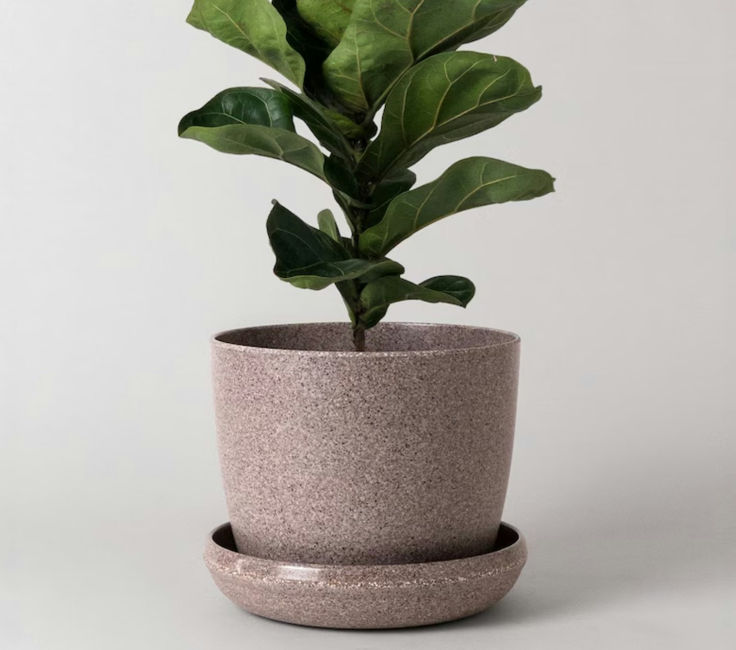 7" Nut Husk Plant Pot,