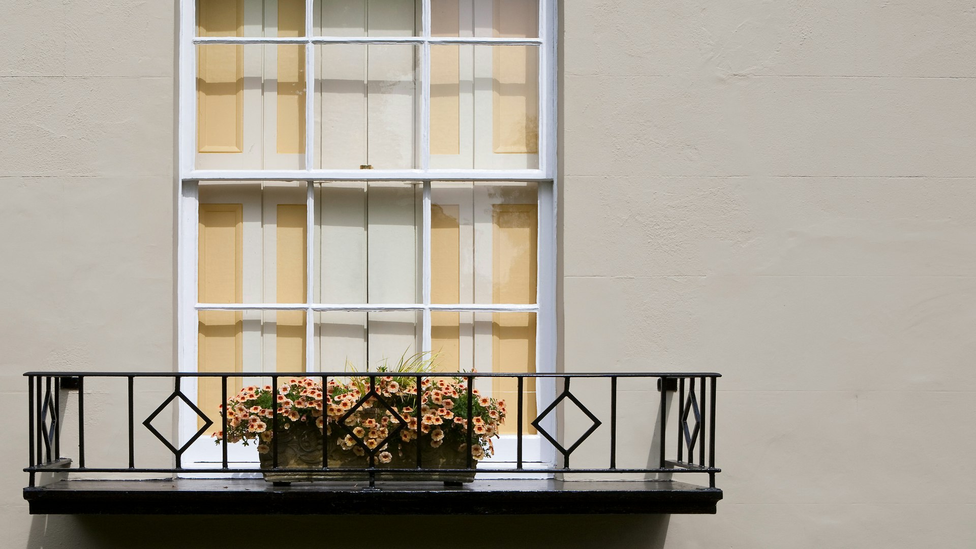 Best plants for window boxes in 2025