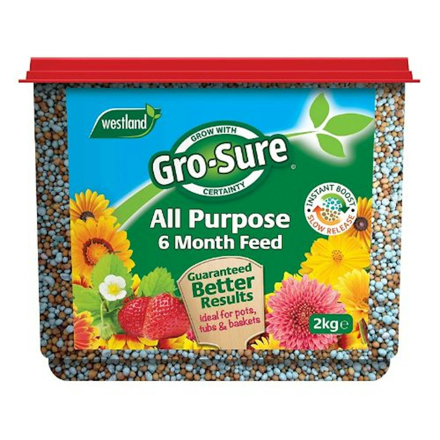  Gro-Sure 6 Month Slow Release Plant Food
