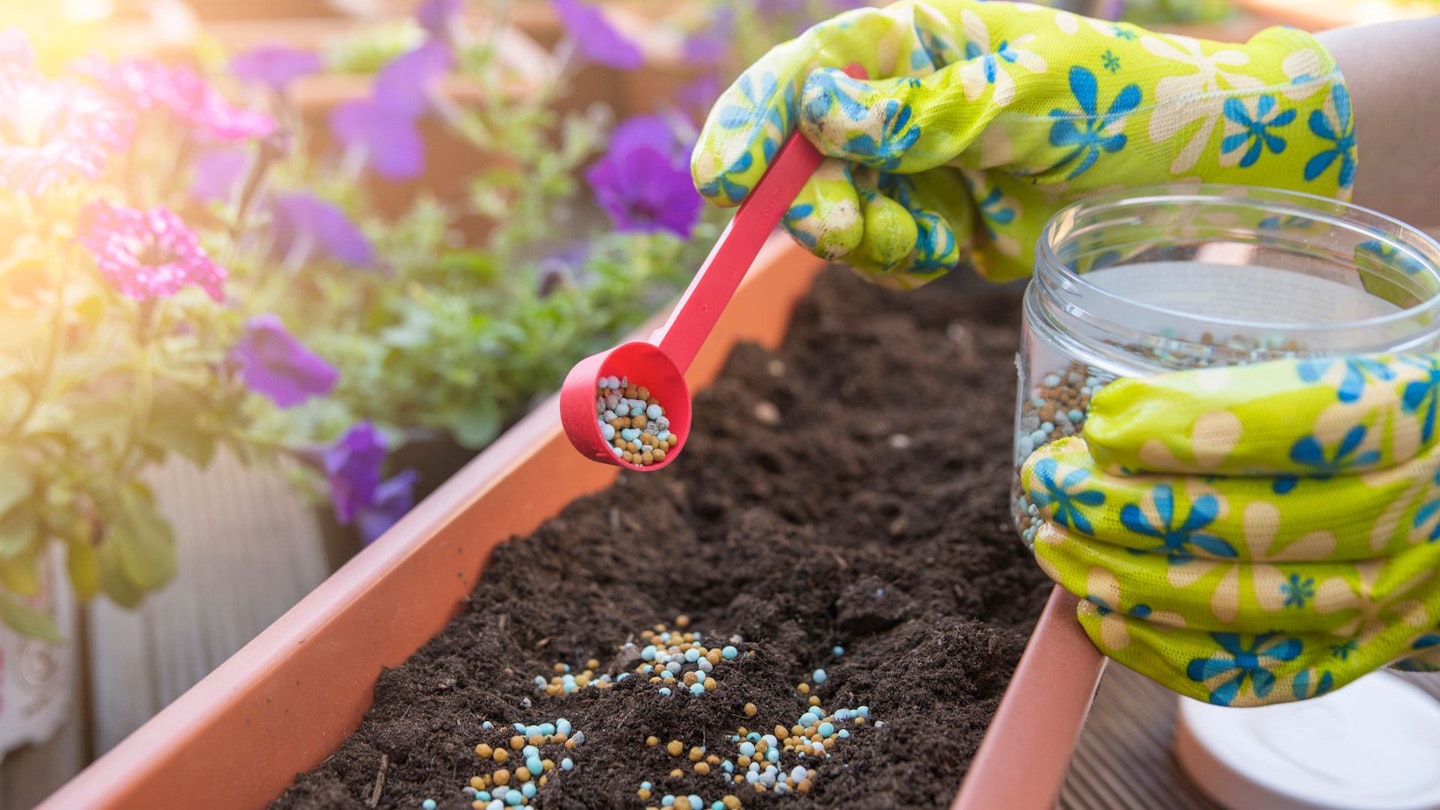 Close-up woman's hand sprinkles the ground with food for plants, the concept of gardening and floriculture