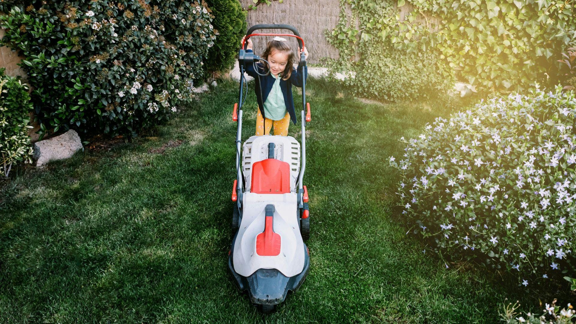 Mowing a small discount lawn