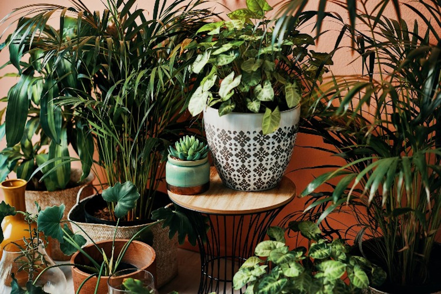 Small indoor plant pots