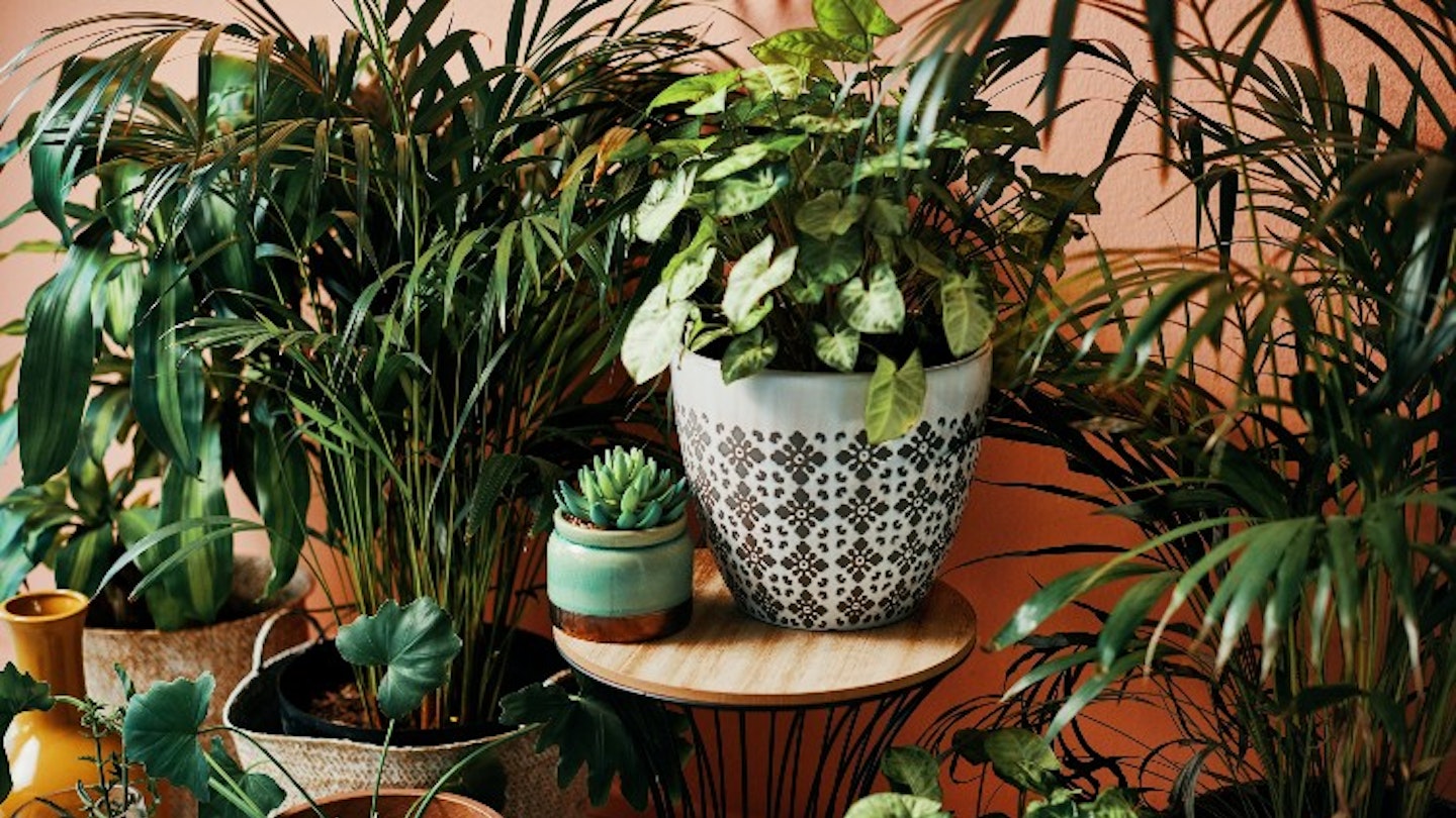 indoor-plant-pots