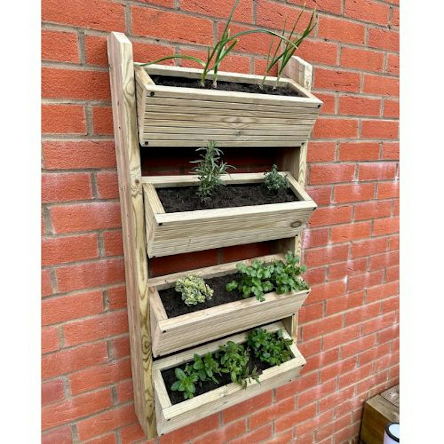 Herb Planter - Handmade