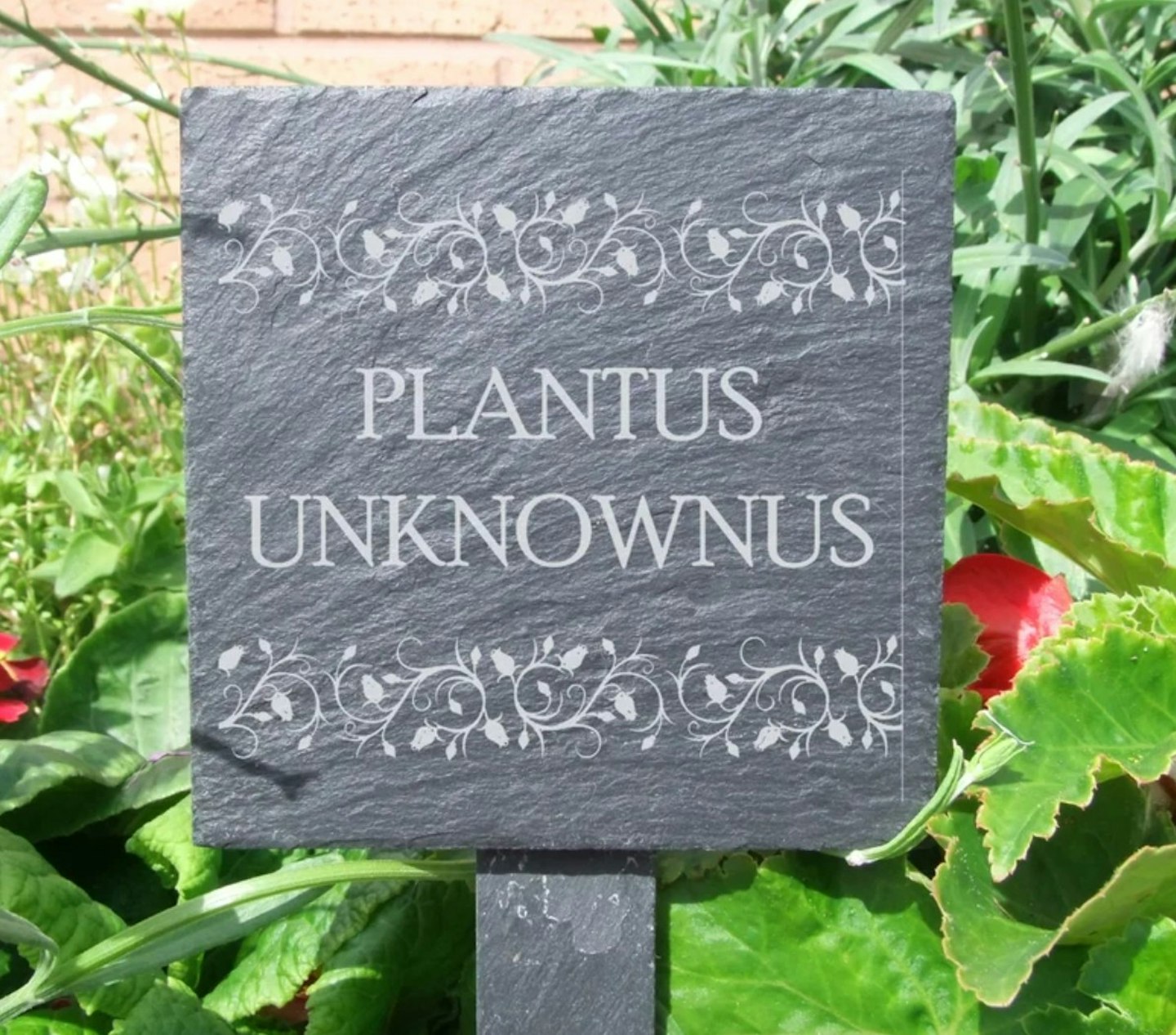 Iredell Plantus Unknownus Garden Sign