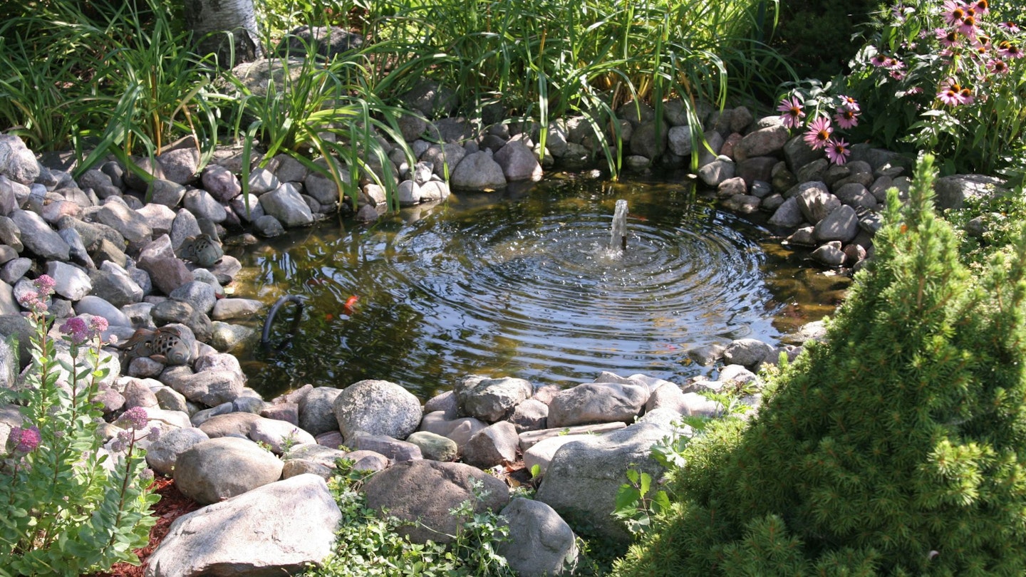 Aquatic garden, a pond with a bubbling fountain - DIY water feature