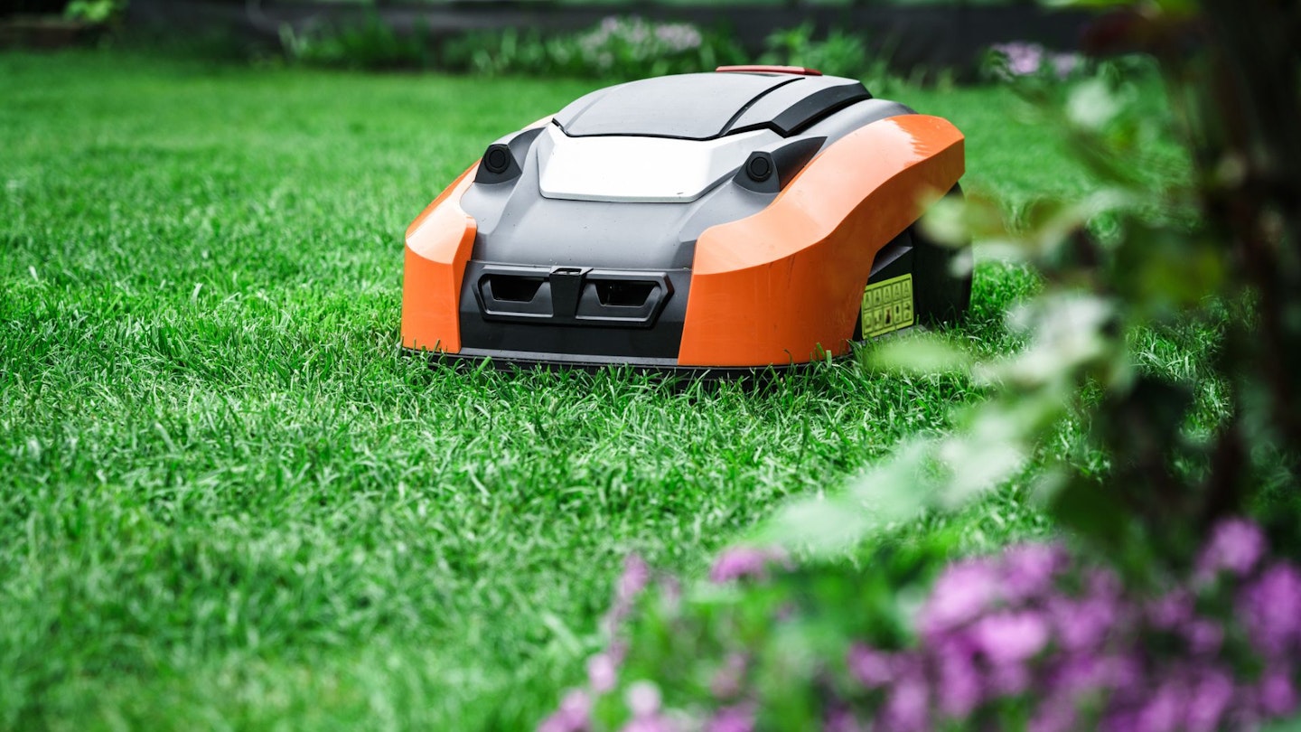 Best robot lawn mower under £1000