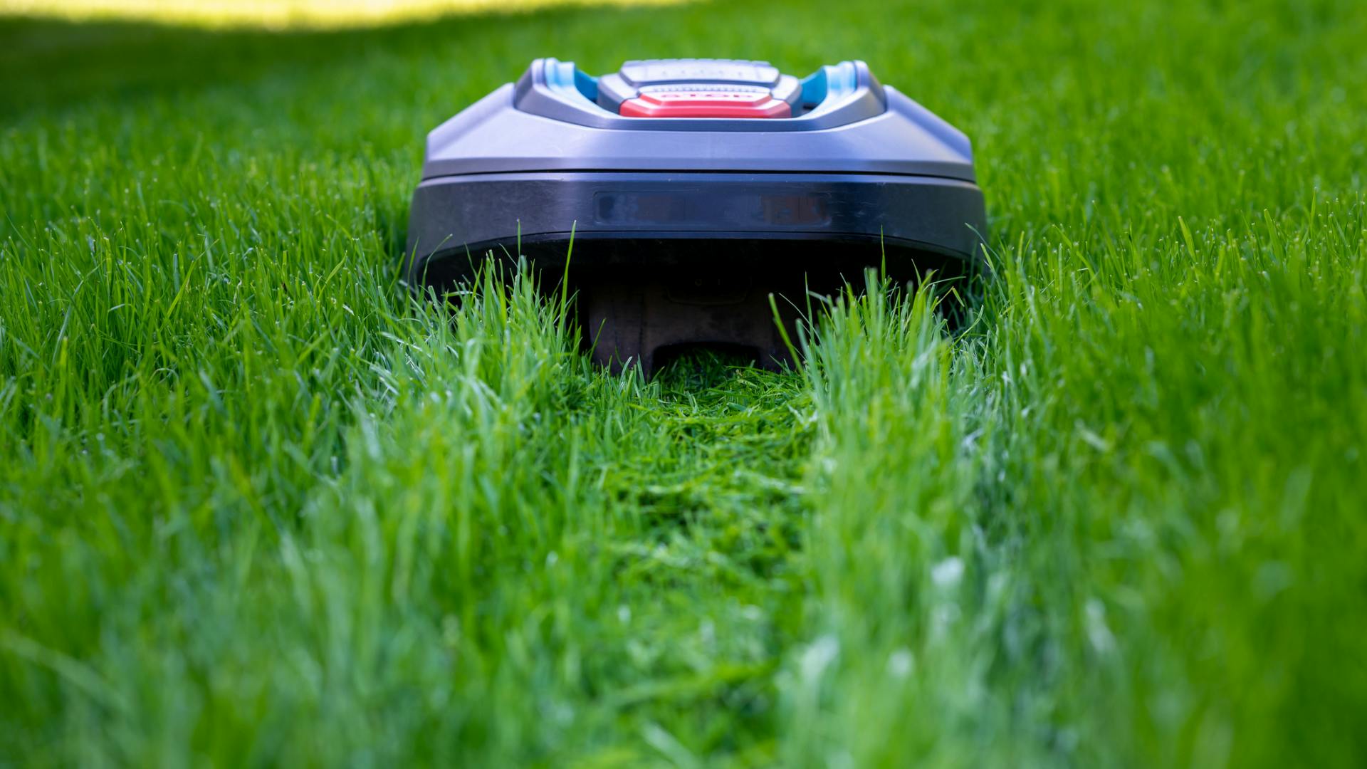 Best robot lawn mower under £500 budgetfriendly buys 2024