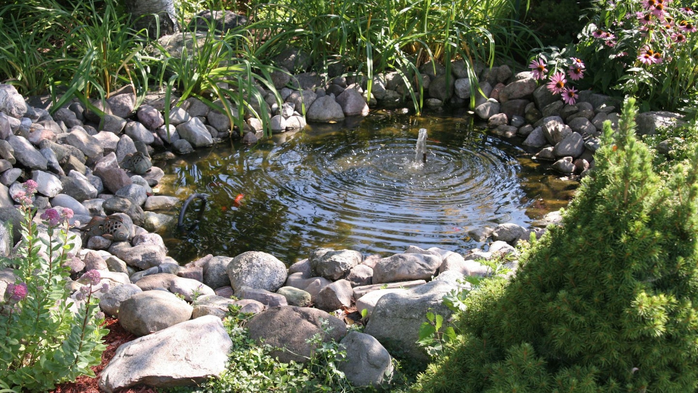 Garden pond water feature
