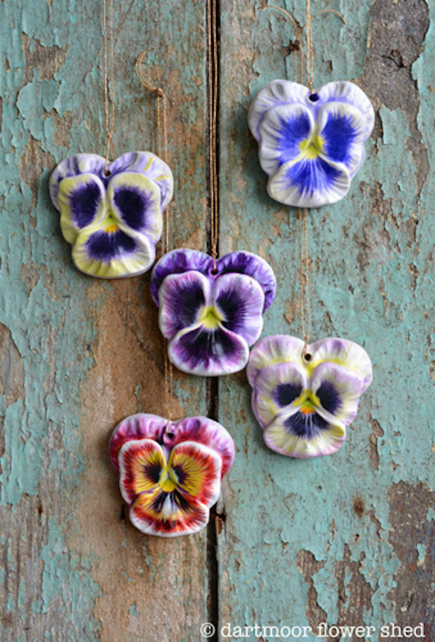 pansies on wall