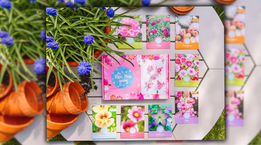 Create a beautiful garden easily Modern Gardens