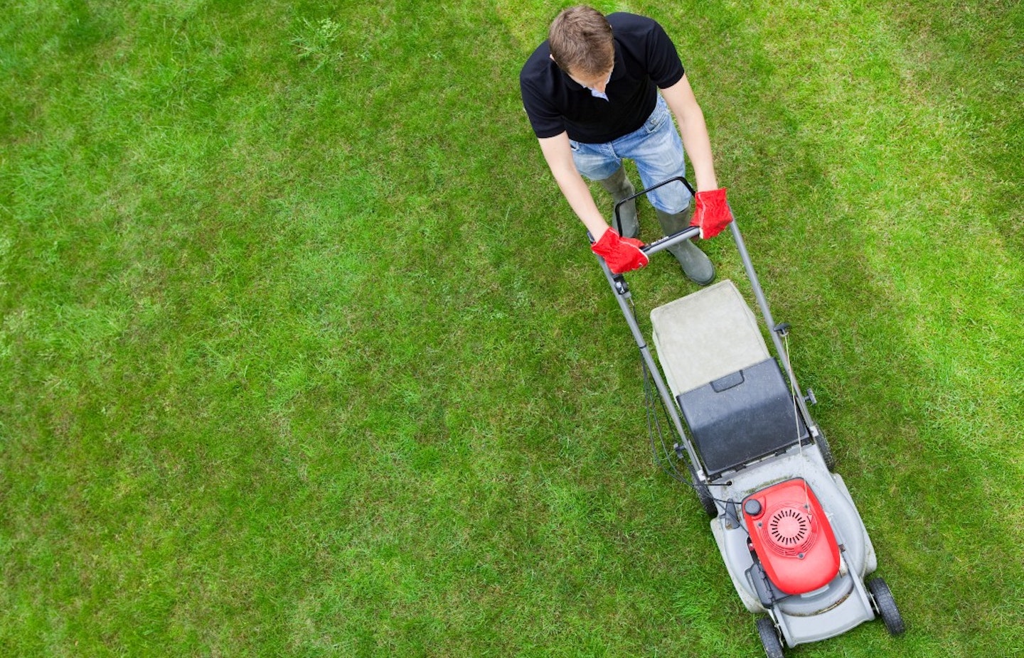 best-lawn-mower-for-stripes