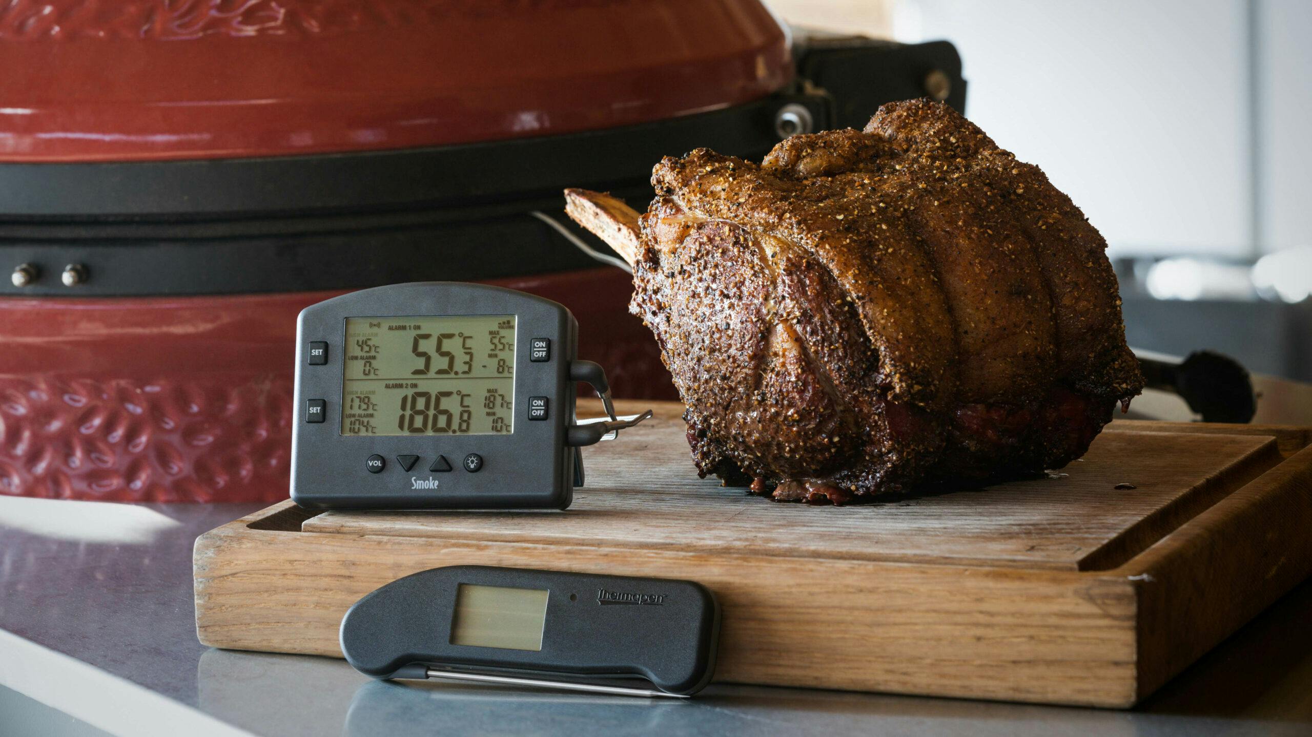 Barbecue thermometer on sale