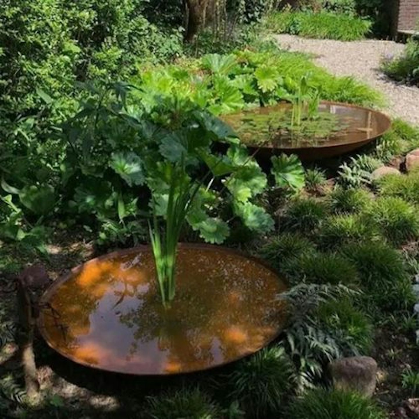 https://images.bauerhosting.com/affiliates/sites/3/2023/09/Adezz-Corten-Steel-Water-Bowl.jpg?auto=format&w=1440&q=80