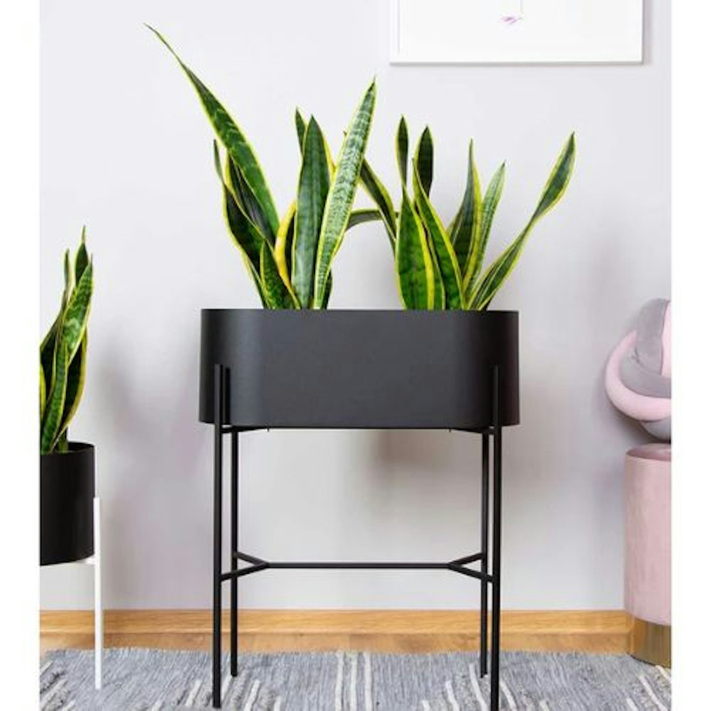 Crisitina Oval Pedestal Plant Stand