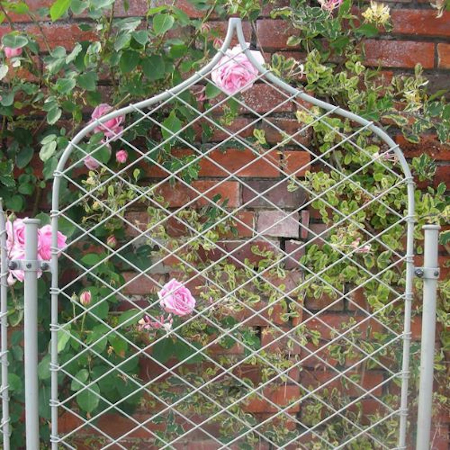 Elegance Gothic Screens