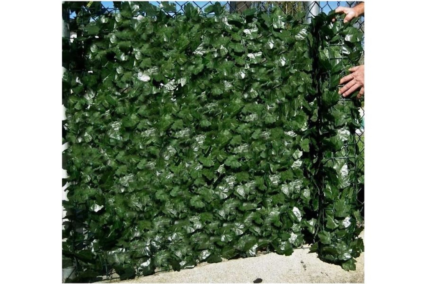 Artificial English Ivy Leaf Screening 