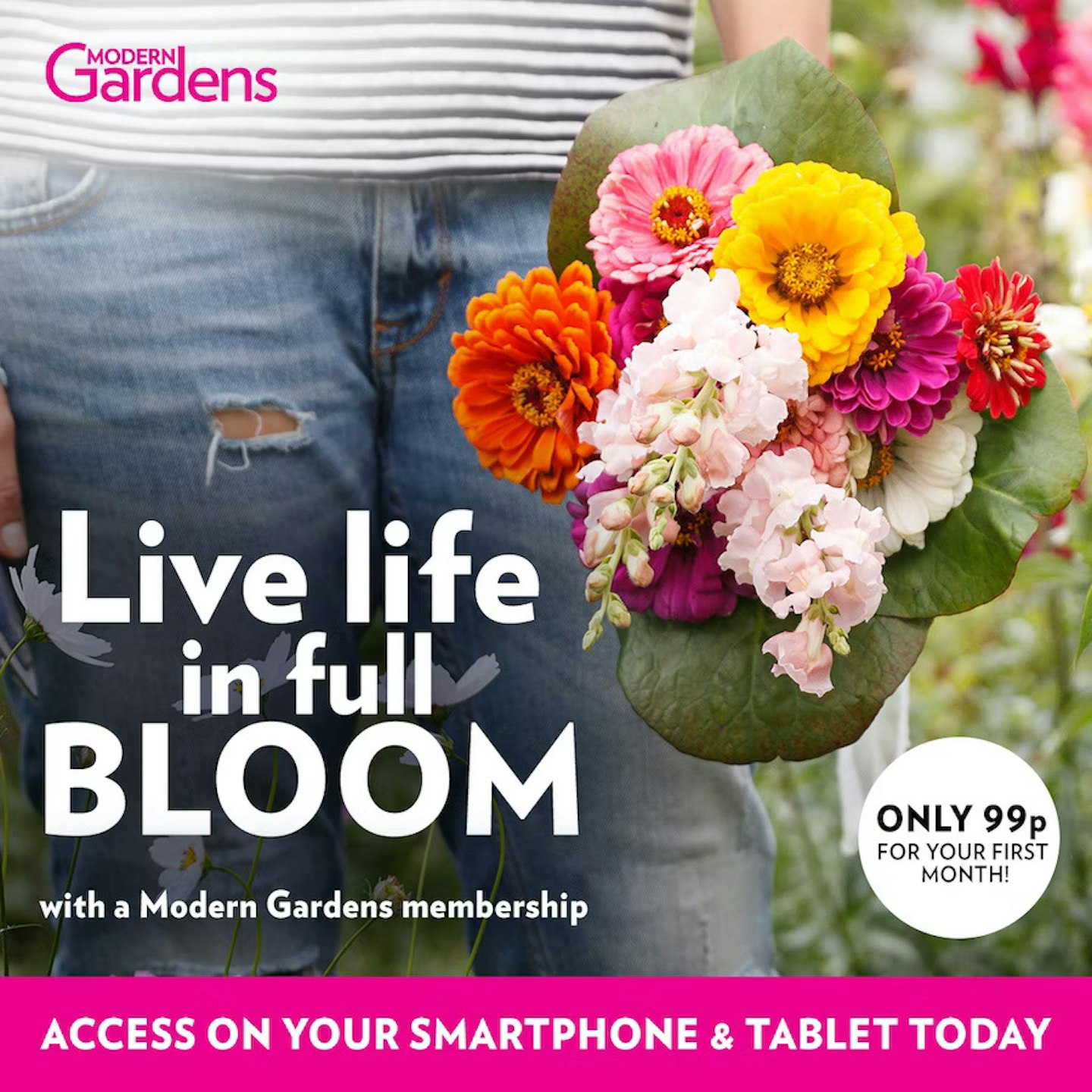 Make the most out of your outdoor space with a Modern Gardens Membership