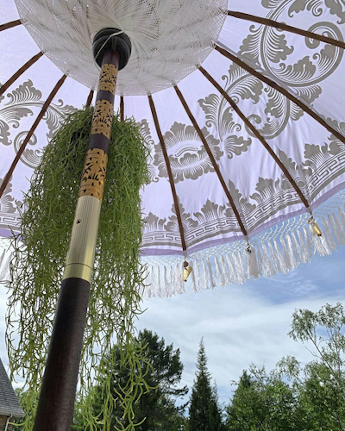 looking up at garden parasol