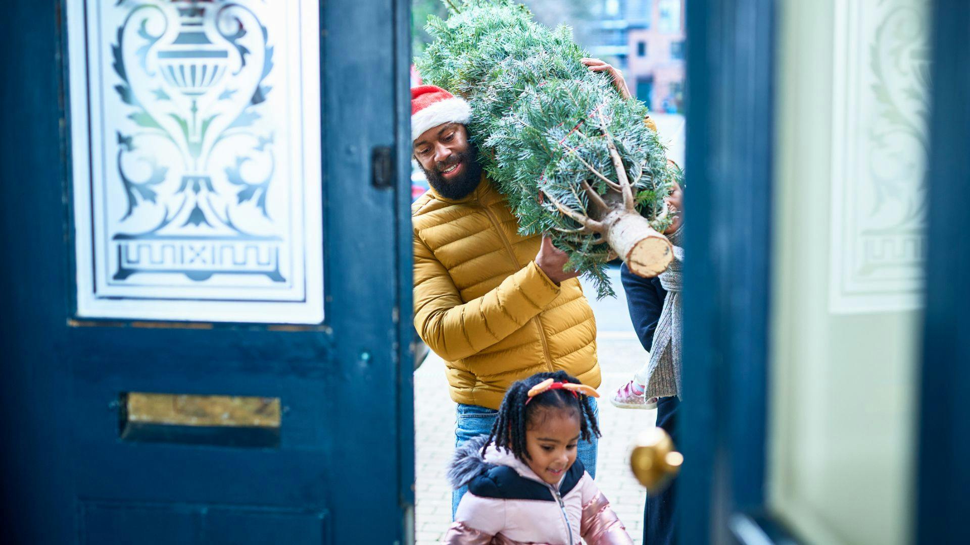 Best real Christmas trees to buy for your home this year