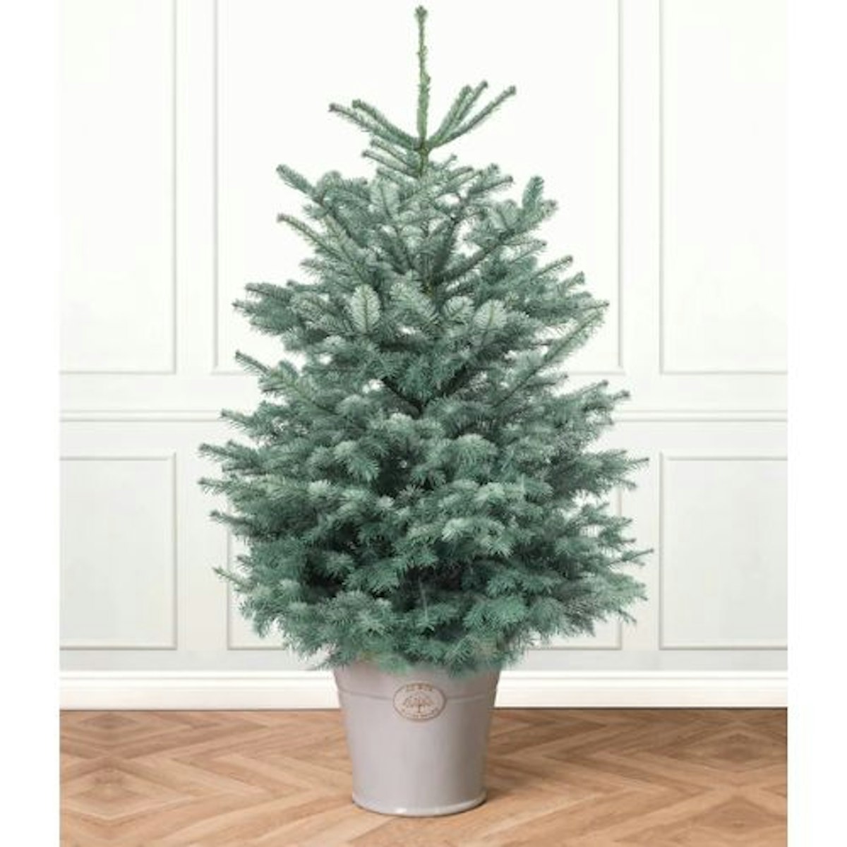 Best real Christmas trees to buy for your home this year
