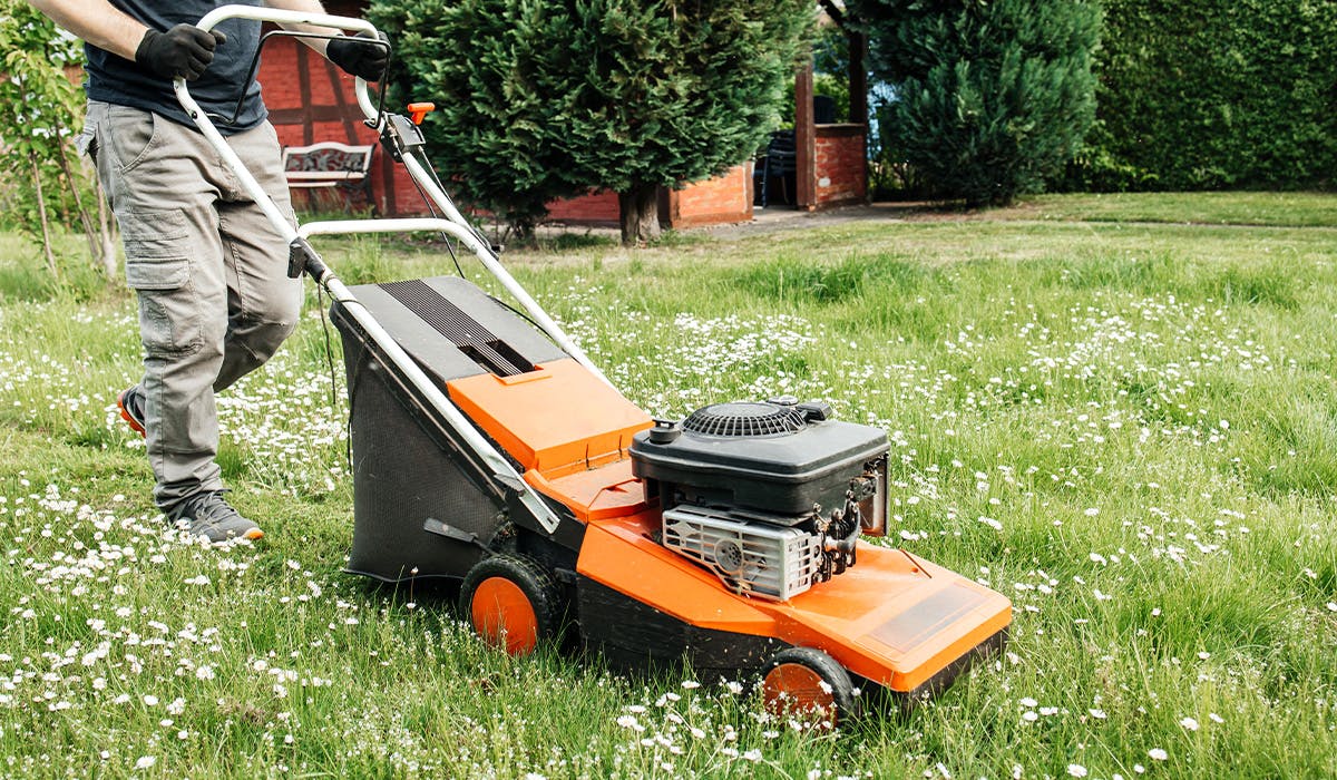 Petrol lawn mower with on sale rear roller for sale