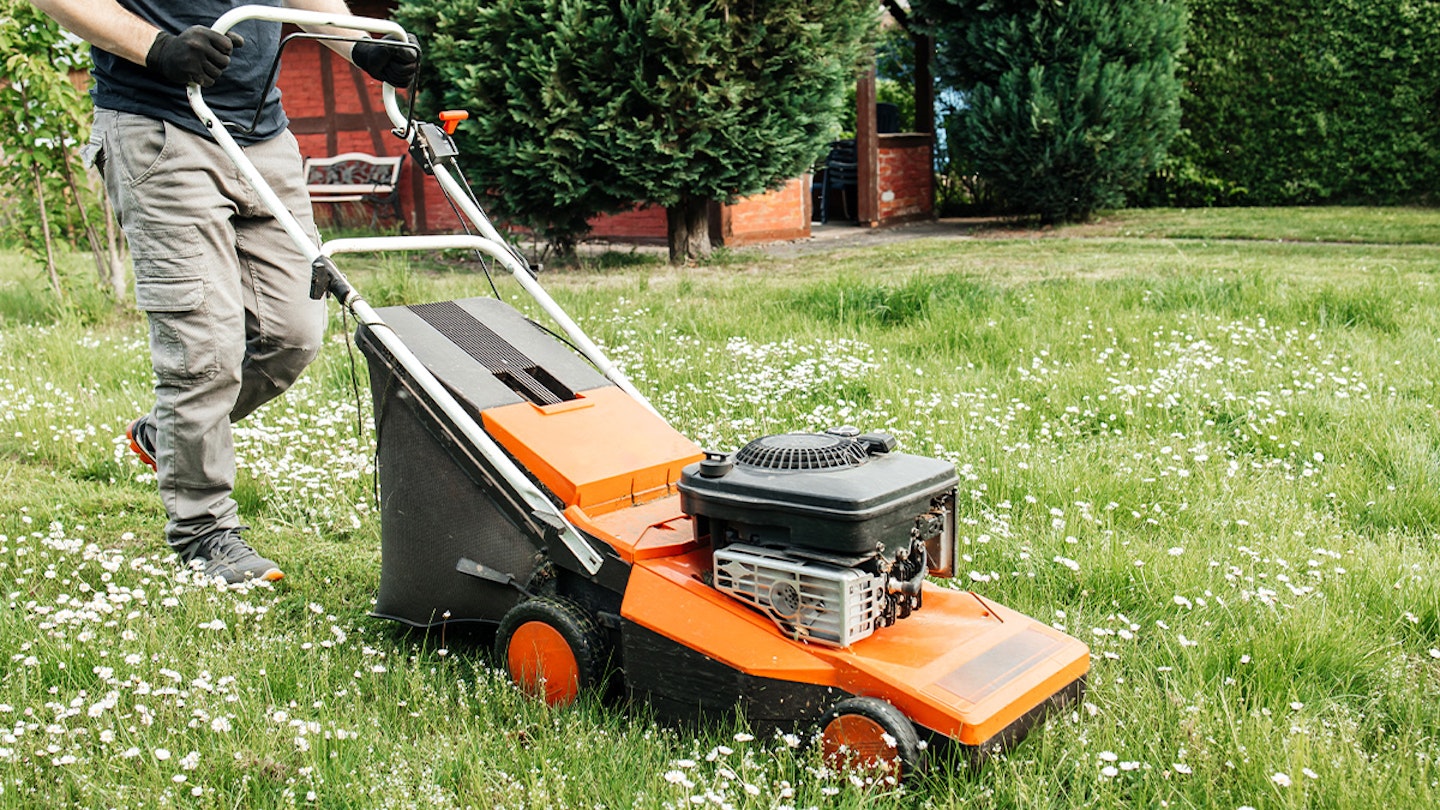 Best Lawn Mower Deals In The January S