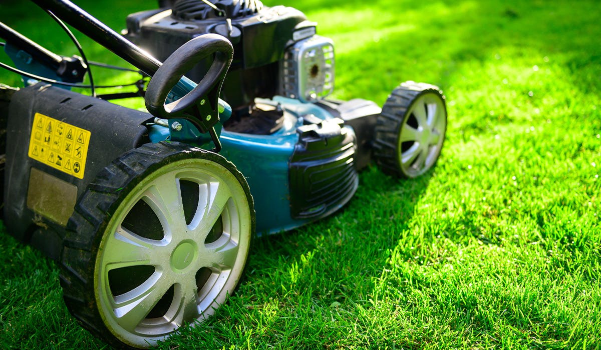 Robot lawn mower online black friday