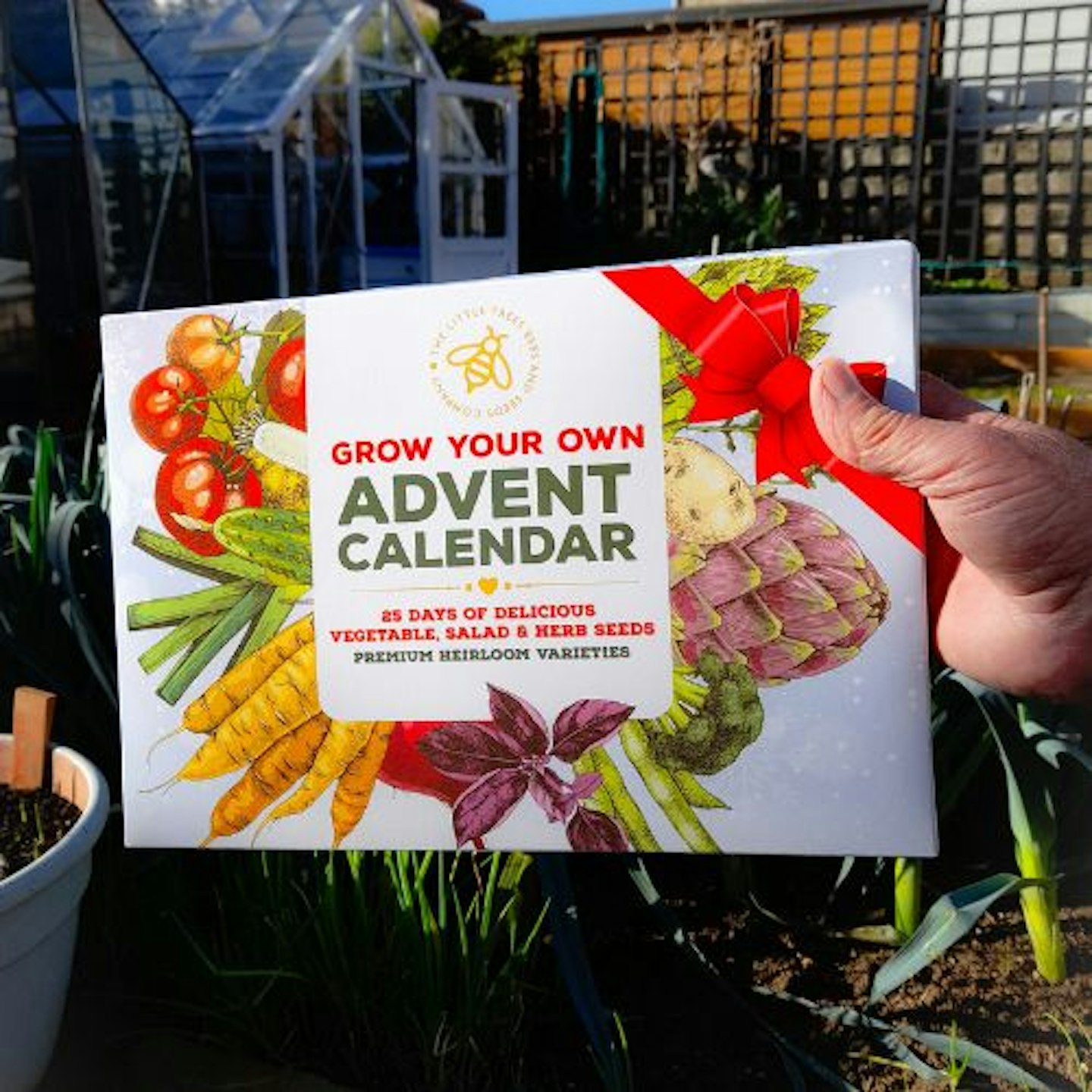 The Little Trees Bees And Seeds Gardening Advent Calendar 2023