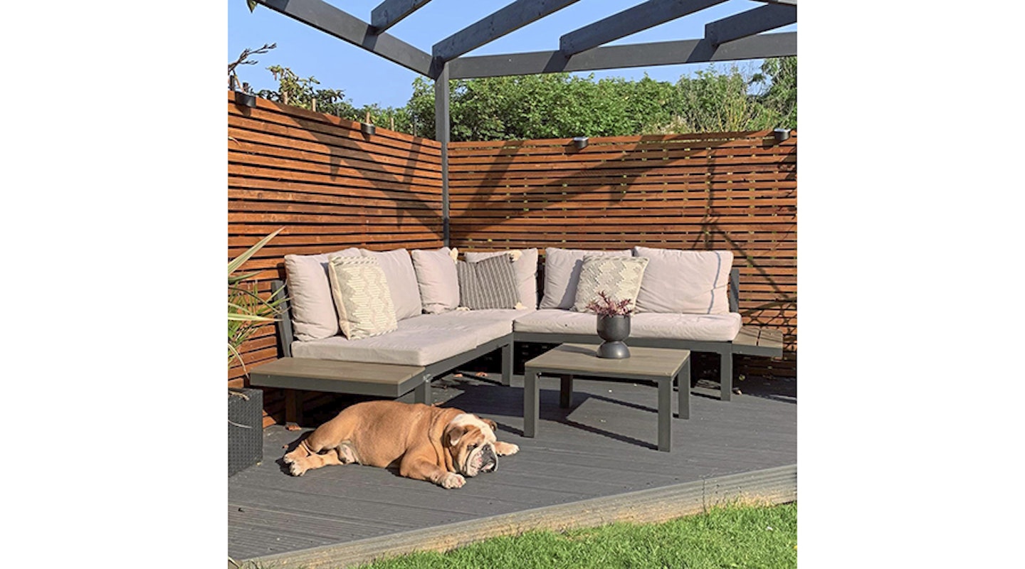 dog in sun on deck