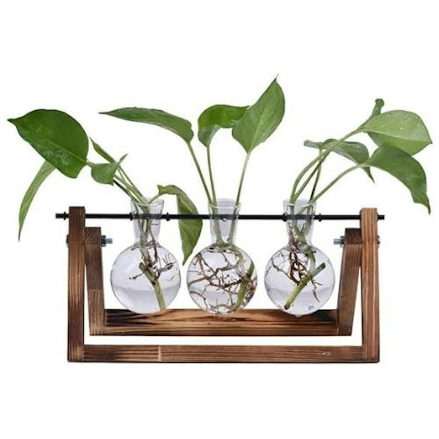 SUNREEK Desktop Glass Planter Bulb Vase