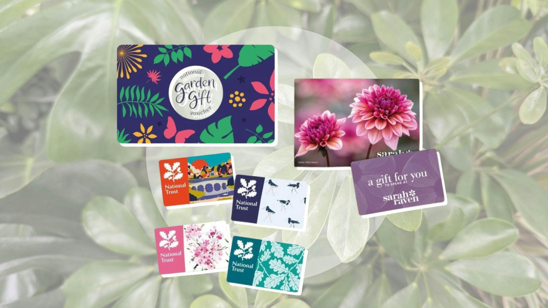 The best garden gift vouchers 2024