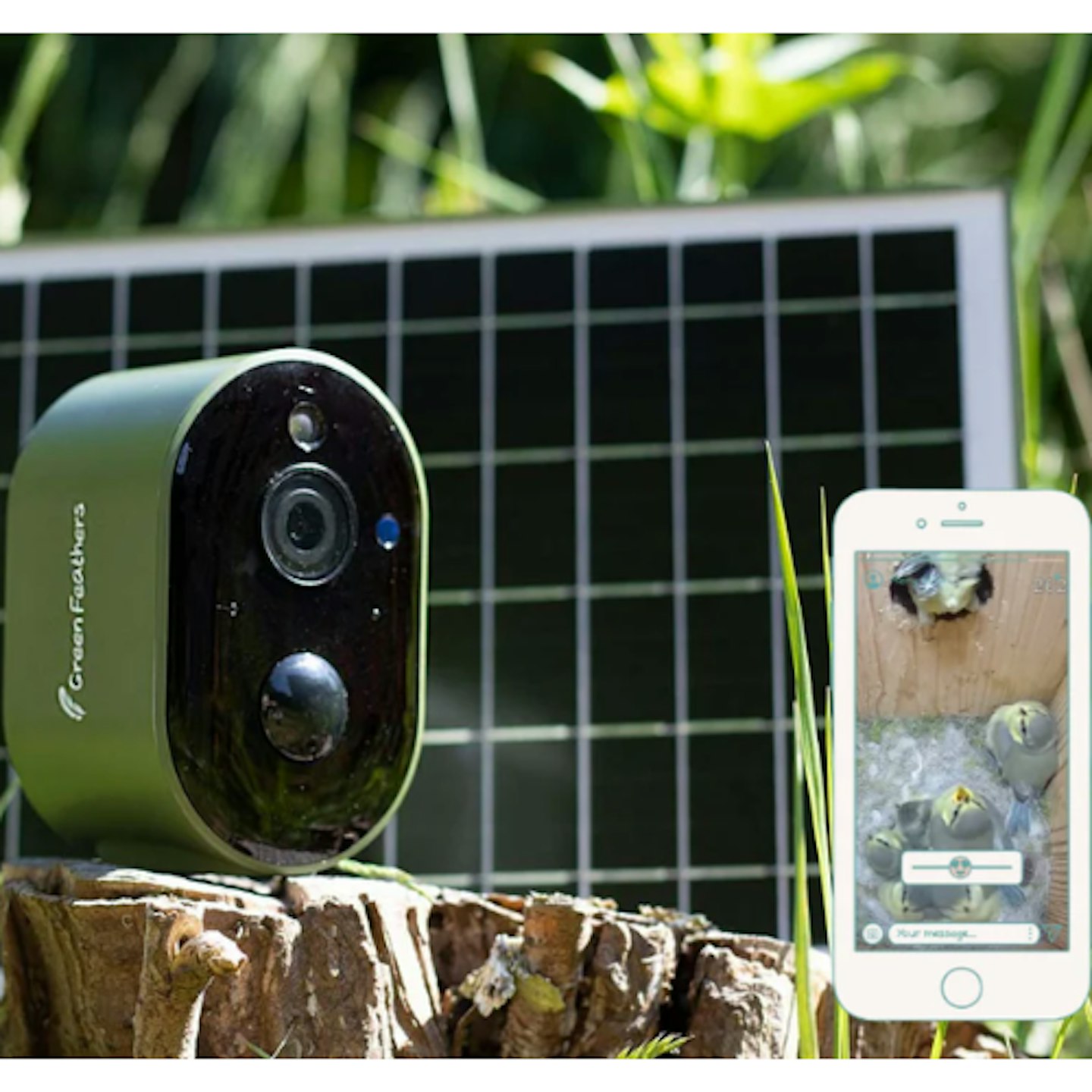 Solar-Powered Bird Box Camera