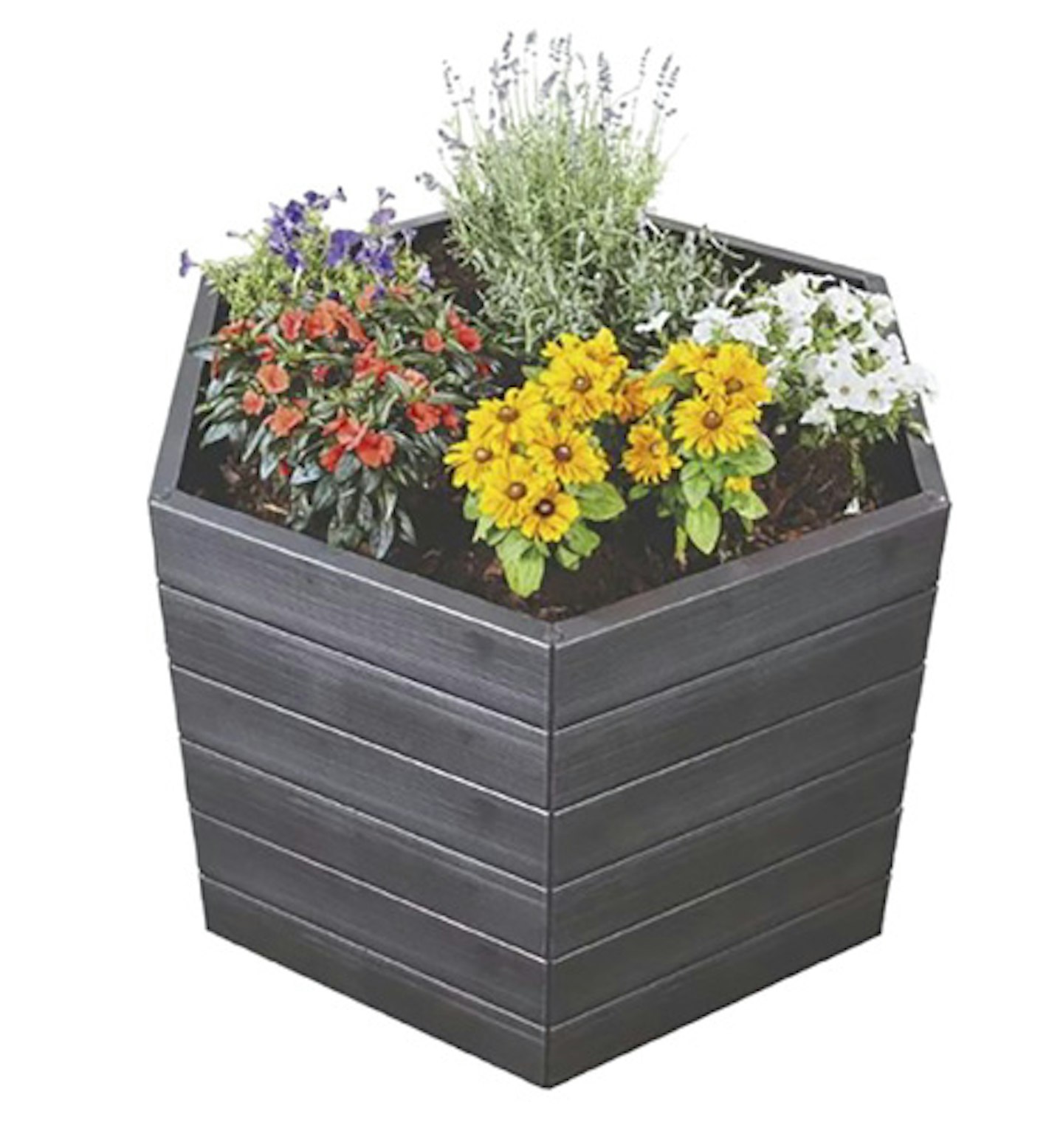 hexagonal raised bed with colourful flowers