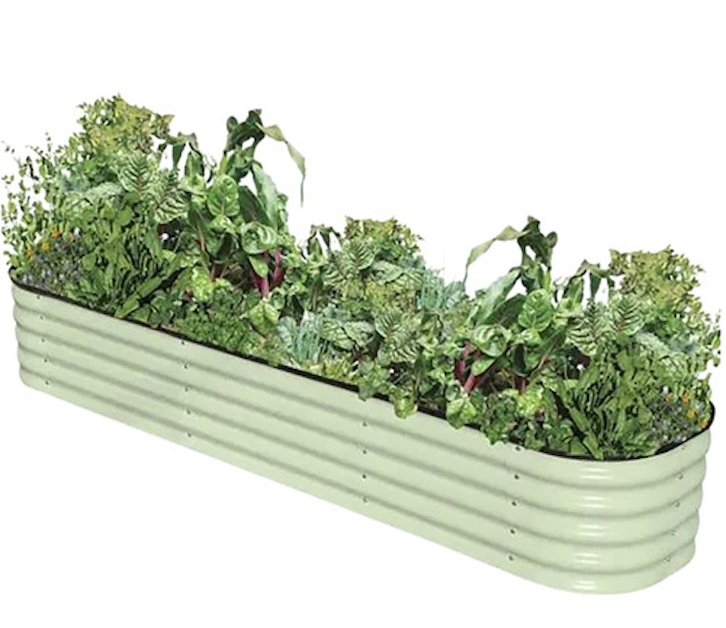sage green veggie bed