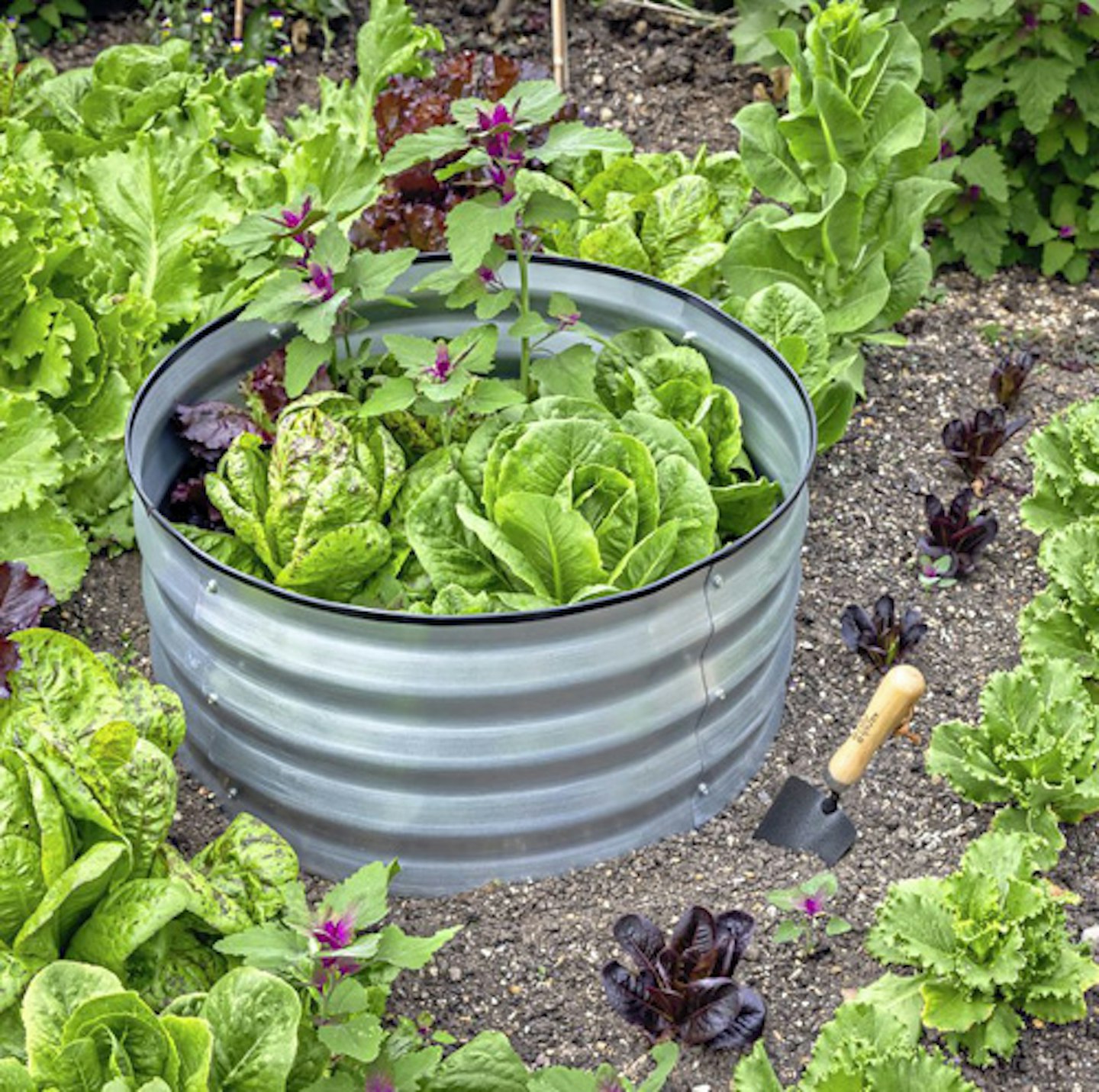 round steel raised bed