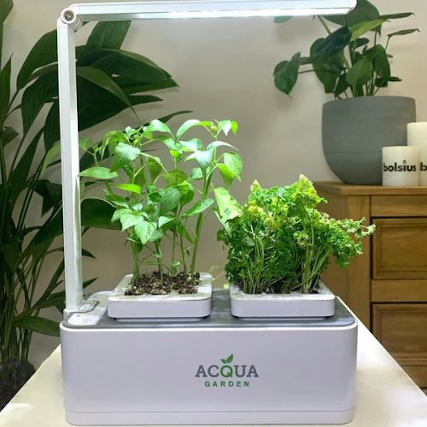 Acqua Smart Garden One Hydroponic Growing System