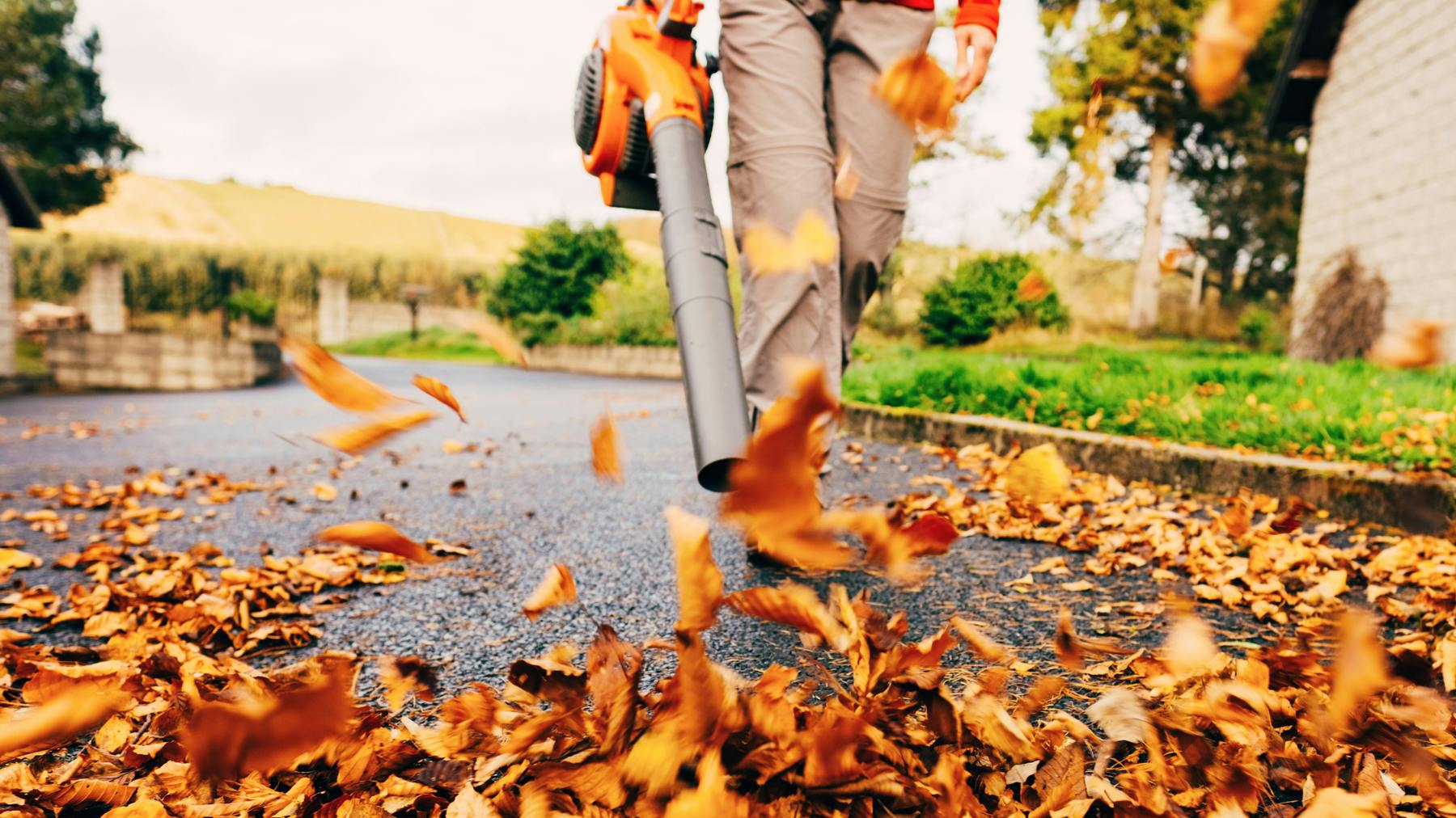 The best cordless leaf blower every gardener should own 2024