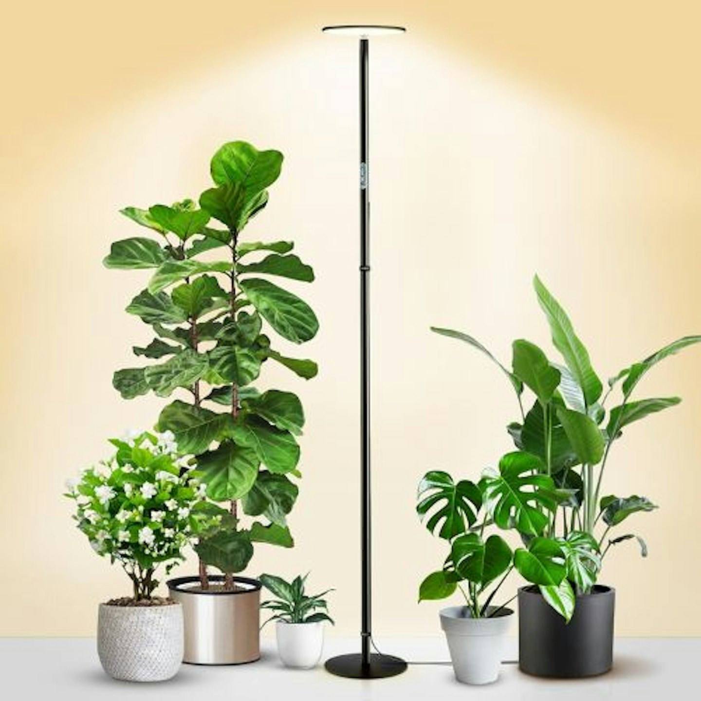 chiphy Grow Light for Indoor Plants, All Metal Floor Plant Light, 40W Dimmable Grow Light, Natural Sunlight, 69" Heights Adjustable Tall Lamp for...