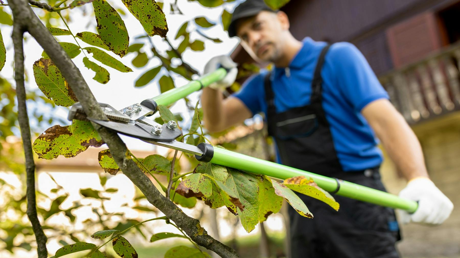 Garden loppers for hardtoreach pruning action in 2024