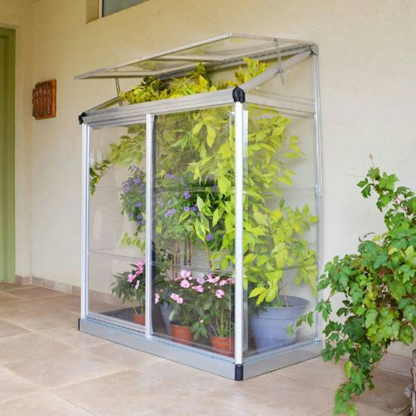 Palram Canopia Lean To Small Wall Mini Greenhouse