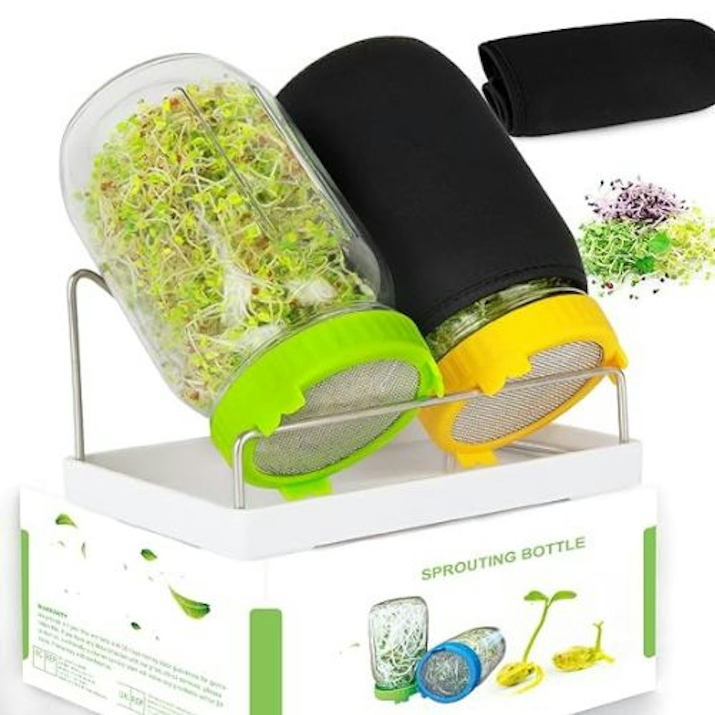 Seed Sprouting Jar Kit