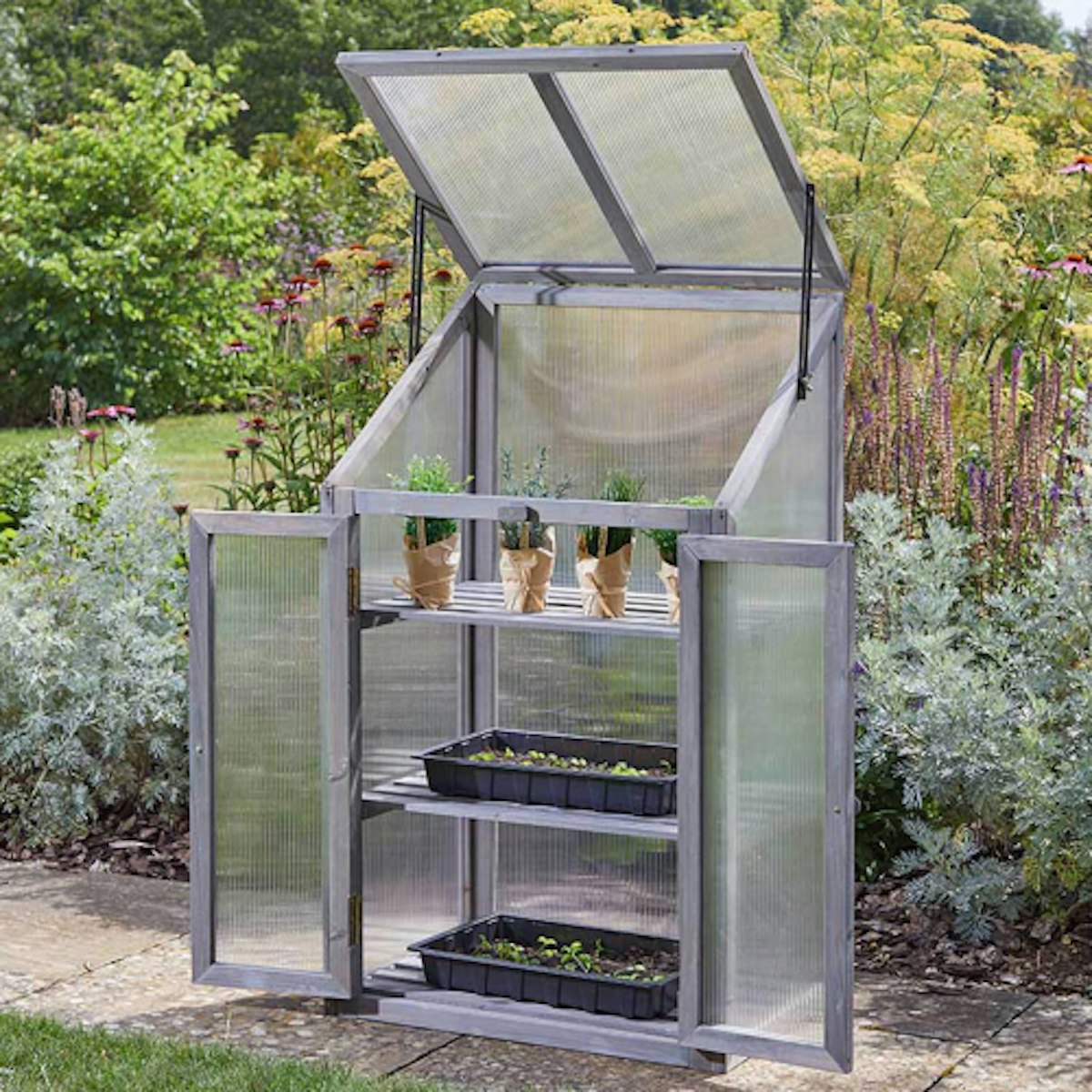 The 9 Best Mini Greenhouses For Small-scale Plant Care 2024